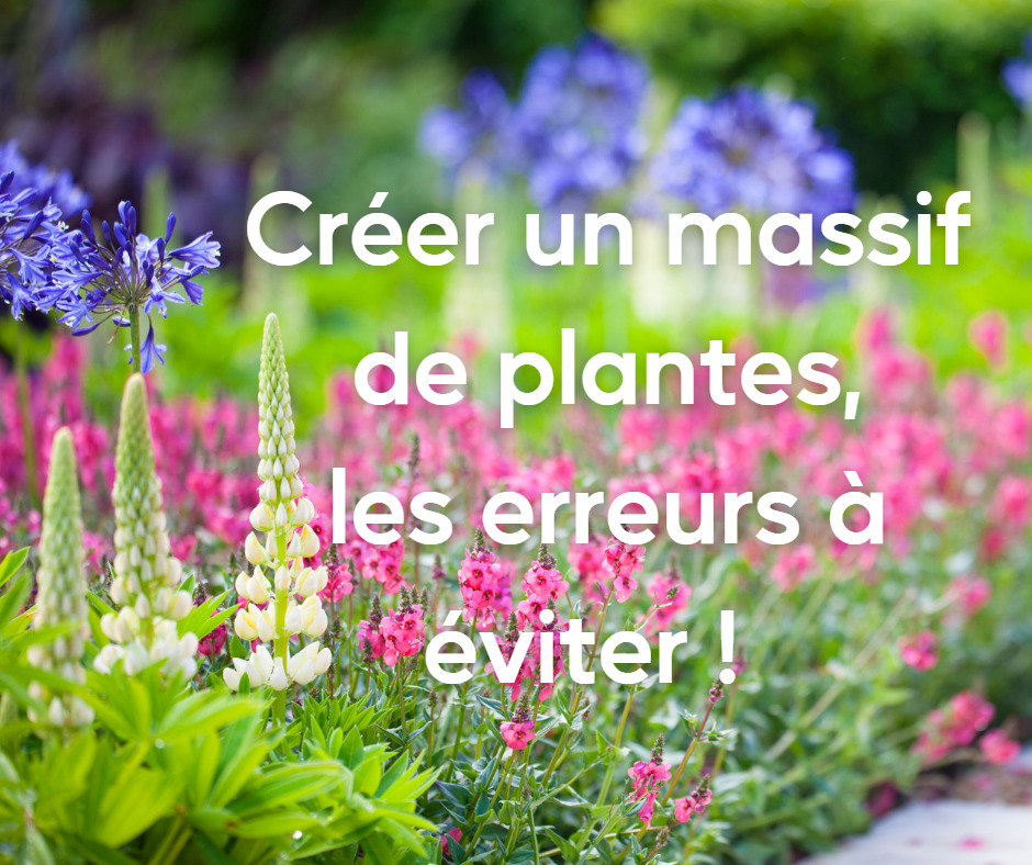 Créer un massif de plantes, les erreurs à éviter !